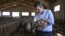 Pablo Casado en Meneses de Campo, Palencia.