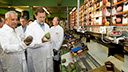Mariano Rajoy visita la Cooperativa Agraria export...
