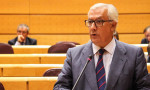 Javier Arenas, portavoz adjunto del GPP en el Senado