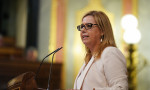 La diputada del GPP, Elena Castillo