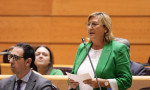 La senadora del Partido Popular por Teruel, Carmen Pobo
