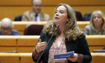 La senadora por Burgos del Grupo Parlamentario Popular, Cristina Ayala