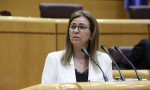 La senadora del PP por la Comunidad Autónoma de Andalucía, Teresa Ruiz-Sillero