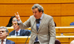 Íñigo Fernández en el Senado