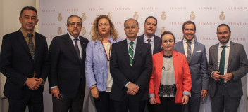 Los senadores por Canarias Jorge Alberto Rodríguez, Antonio Alarcó, Mariano Hernández, Mª Auxiliadora Pérez, Hipólito Suárez, Claudio Gutiérrez,  Joel Delgado y Mª Isabel García Luis