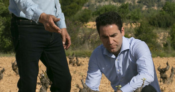 Teodoro García Egea visita un viñedo en Bullas