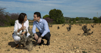 Teodoro García Egea visita un viñedo en Bullas