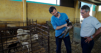 Casado visita las zonas afectadas por la DANA en Almería, Murcia y Alicante