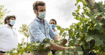 Visita de Pablo Casado, Teodoro García Egea y Fernando López Miras a Jumilla.