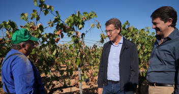  Alberto Núñez Feijóo y Alfonso Fernández Mañueco visitan un viñedo en la Ribera del Duero