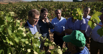  Alberto Núñez Feijóo y Alfonso Fernández Mañueco visitan un viñedo en la Ribera del Duero