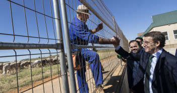 Alberto Núñez Feijóo visita cooperativa vinícola de Villarrobledo