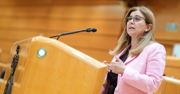 Teresa Ruiz-Sillero durante una moción en el Senado