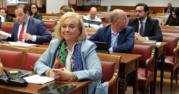 La portavoz de Seguridad Social del Grupo Parlamentario Popular y senadora por Asturias, Mercedes Fernández