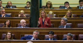 Ana Zurita en la sesión de control al Gobierno