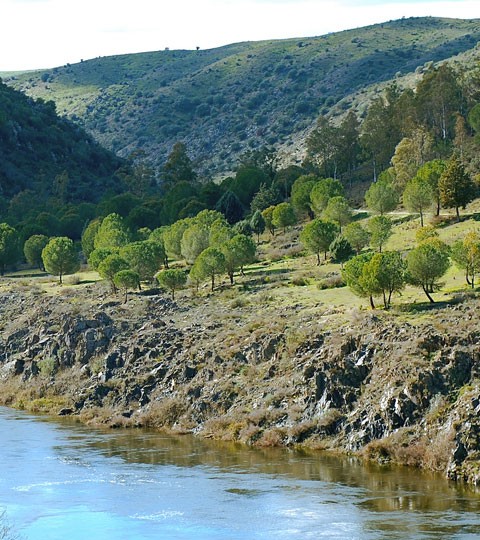 Medio Ambiente