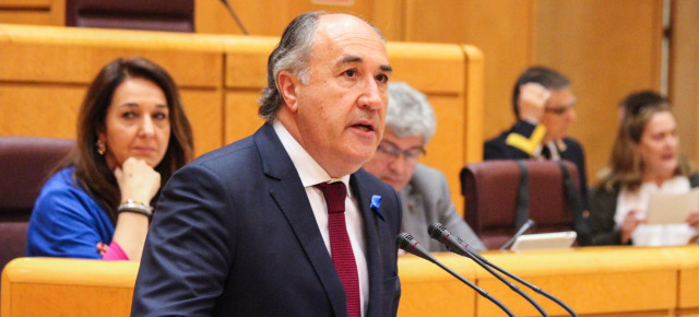 José Ignacio Landaluce durante su intervención en el Senado