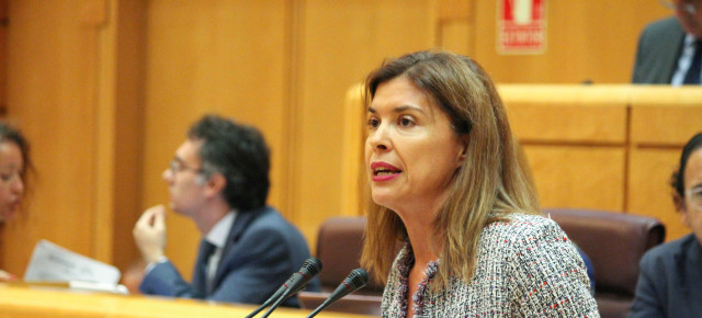 La senadora popular Clara San Damián durante su intervención