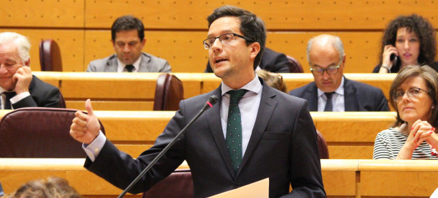 El senador por Soria, Tomás Cabezón, durante la sesión de control al Gobierno