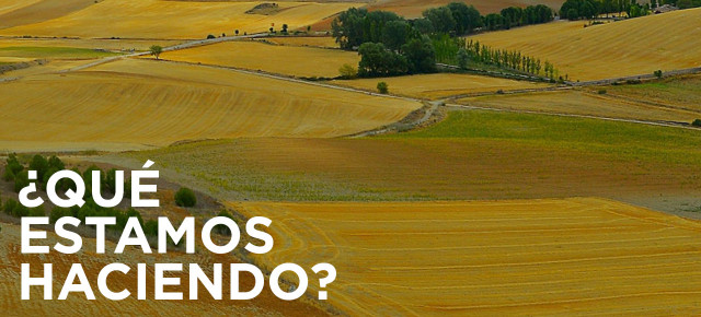 ¿Qué estamos haciendo? Agricultura, Ganadería y Pesca