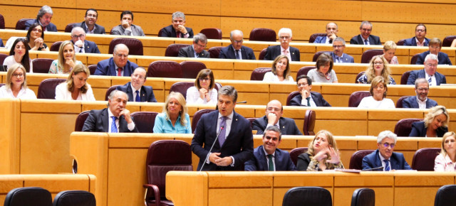 Ignacio Cosidó, Portavoz del Grupo Parlamentario Popular en el Senado