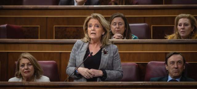 Mª Jesús Bonilla en su turno de preguntas al Gobierno