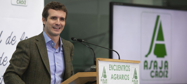 El presidente del Partido Popular, Pablo Casado.