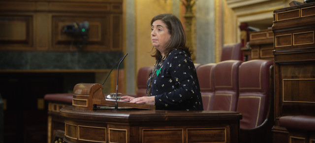 La diputada del Partido Popular, Sandra Moneo, durante su intervención en el Pleno