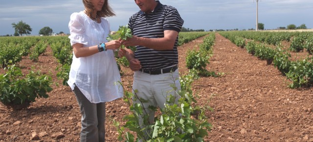 Cospedal en las Viñas de Tomellosos