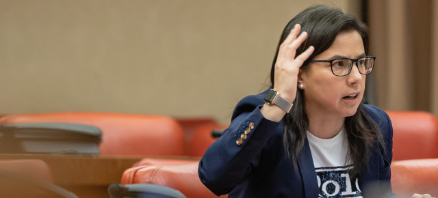 La diputada del GPP en el Congreso de los Diputados, Ana Vázquez