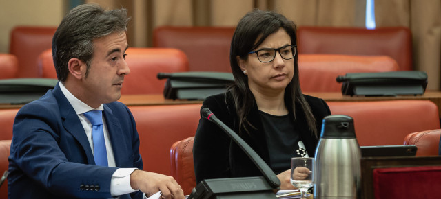 Los diputados Diego Movellán y Ana Vázzquez en la Comisión de Trabajo en el Congreso de los Diputados