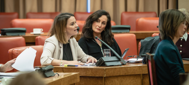 Marga Prohens durante su intervención en la Comisión de Igualdad