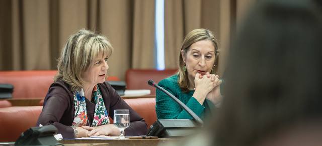 La portavoz de Sanidad del GPP, Elvira Velasco durante su intervención en la Comisión de Sanidad y Consumo