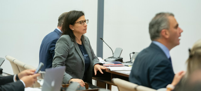 Ana Vázquez en la Comisión de Interior