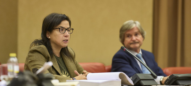 La diputada Ana Vázquez en el debate del dictamen en la Comisión de los PGE 2023, junto a Jaime Mateu