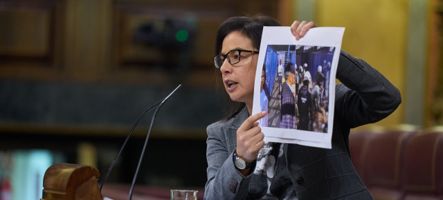 Ana Vázquez en el Pleno del Congreso