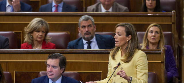 Carmen Navarro, vicesecretaria de Políticas Sociales del PP y diputada por Albacete