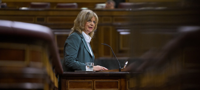 La portavoz de Sanidad del GPP en el Congreso, Elvira Velasco, durante el Pleno