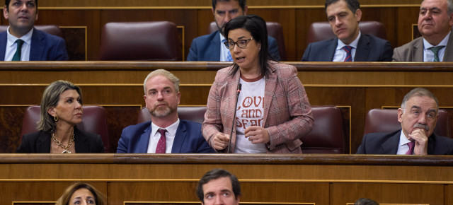 Ana Vázquez en el Congreso. 