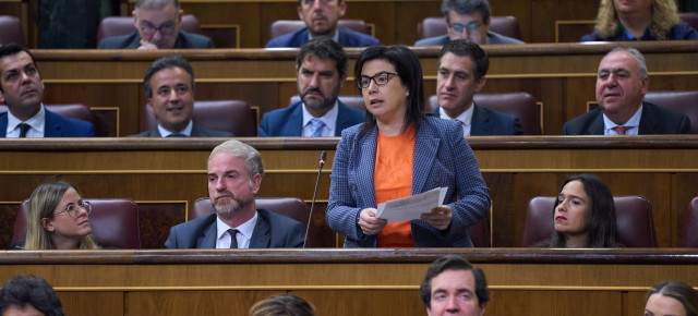 Ana Vázquez en la sesión de Control al Ejecutivo