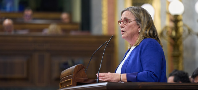 La diputada del GPP, Irene Garrido