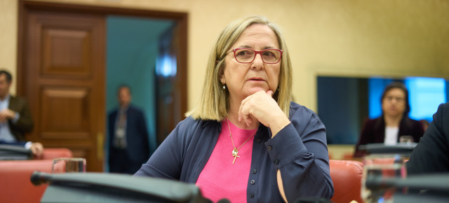 La diputada del GPP, Irene Garrido