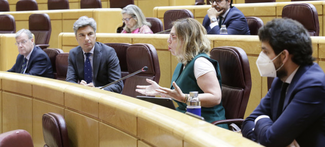 La senadora del PP por Navarra, Amelia Salanueva