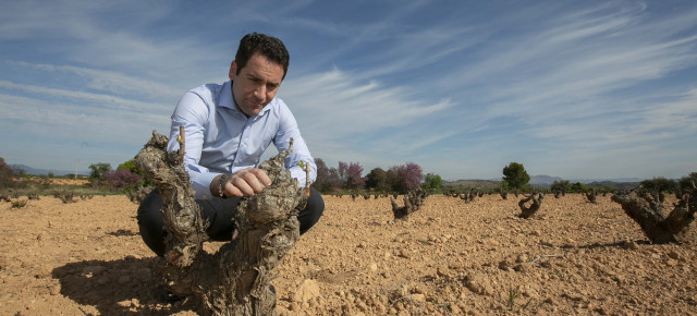 Teodoro García Egea visita un viñedo en Bullas