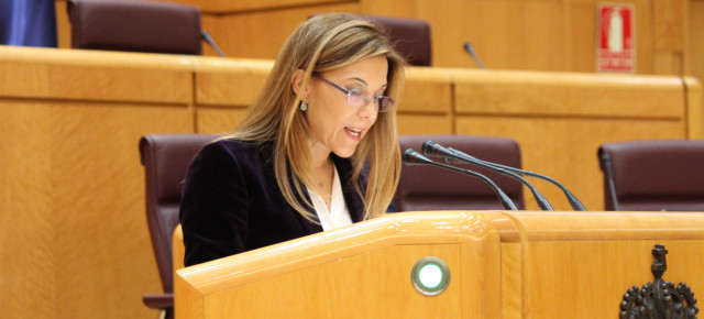 La senadora del Partido Popular, Ana Alós
