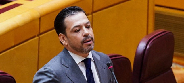 El portavoz adjunto del GPP en el Senado, David Erguido