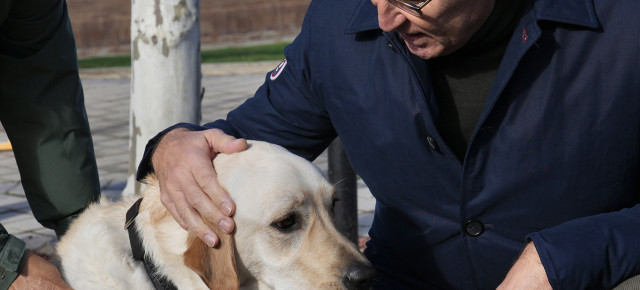 El presidente del Partido Popular, Alberto Núñez Feijóo, visita la Fundación Once del Perro Guía