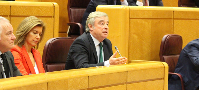 José Manuel Barreiro interviene en el Senado