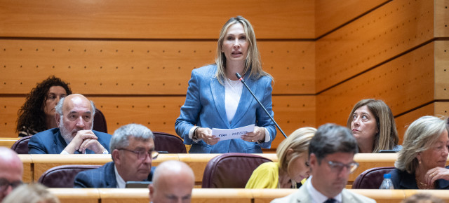 Cristina Díaz durante su intervención