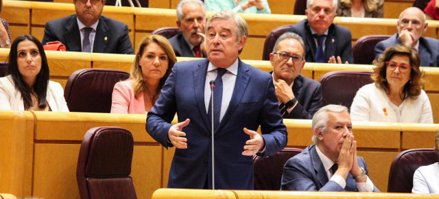 El portavoz del Grupo Parlamentario Popular en el Senado, José Manuel Barreiro